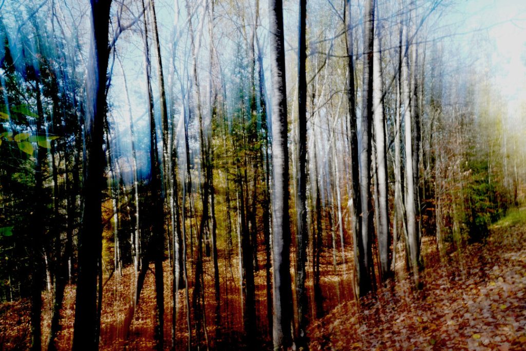 Flou d'automne