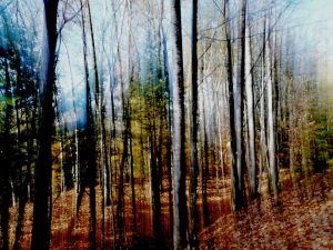 Flou d'automne