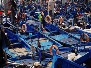 Tirage fine art édition limitée - barques de pêche bleues - Essaouira Maroc