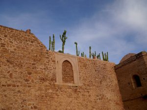Tirage photo décoration - cactus sur mur de pierre ancien - Cactus sur les murs