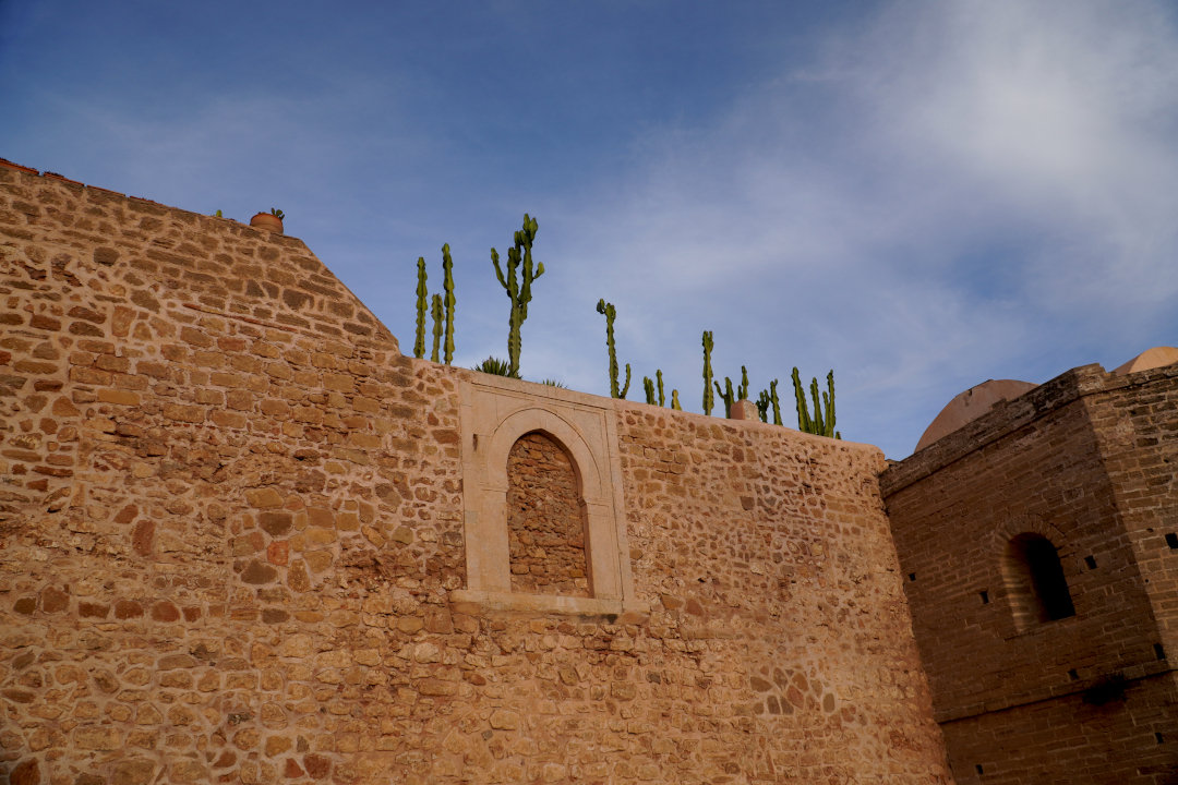 Tirage photo décoration - cactus sur mur de pierre ancien - Cactus sur les murs